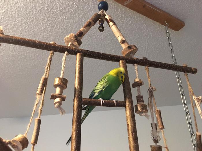 Klicke auf die Grafik f�r eine gr��ere Ansicht

Name:	miro.jpg
Hits:	1
Gr��e:	58,5 KB
ID:	197854