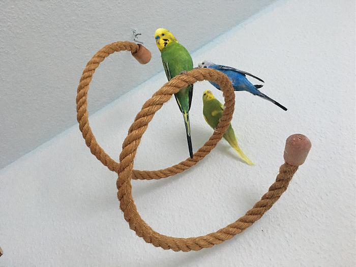 Klicke auf die Grafik f�r eine gr��ere Ansicht

Name:	IMG_1868.jpg
Hits:	0
Gr��e:	305,2 KB
ID:	197855