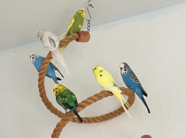 Klicke auf die Grafik f�r eine gr��ere Ansicht

Name:	alle.jpg
Hits:	0
Gr��e:	37,4 KB
ID:	197872