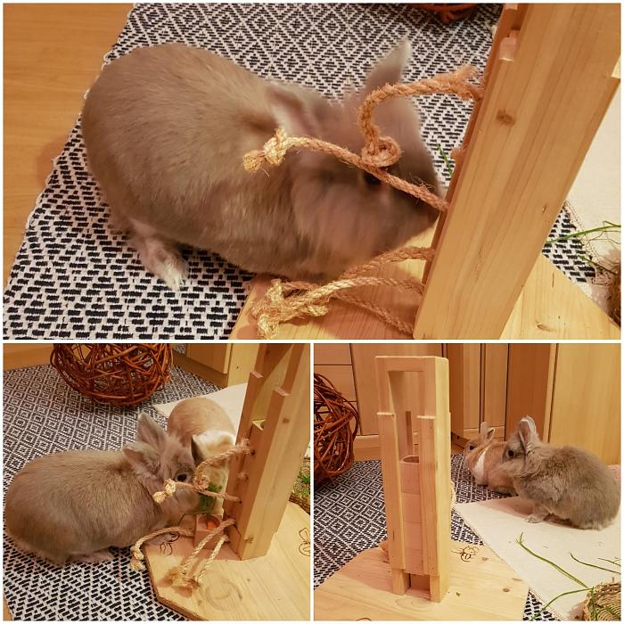 Klicke auf die Grafik fr eine grere Ansicht

Name:	IMG-20221027-WA0002.jpg
Hits:	0
Gre:	327,8 KB
ID:	198512