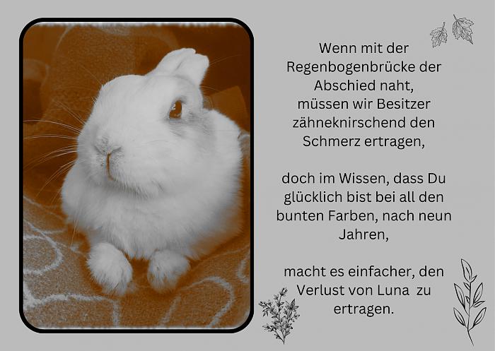 Klicke auf die Grafik fr eine grere Ansicht

Name:	1.jpg
Hits:	1
Gre:	53,7 KB
ID:	198825