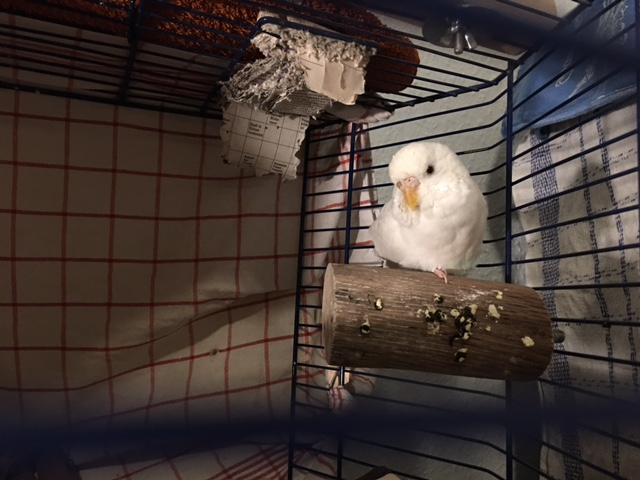 Klicke auf die Grafik f�r eine gr��ere Ansicht

Name:	liese01.jpg
Hits:	211
Gr��e:	216,3 KB
ID:	199006