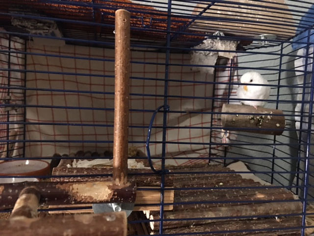 Klicke auf die Grafik f�r eine gr��ere Ansicht

Name:	liese00.jpg
Hits:	203
Gr��e:	254,7 KB
ID:	199007