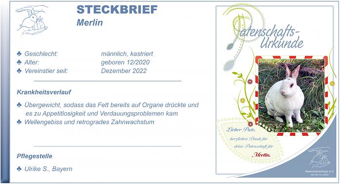 Klicke auf die Grafik fr eine grere Ansicht

Name:	Steckbrief Merlin.jpg
Hits:	11
Gre:	141,4 KB
ID:	199098