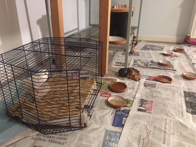 Klicke auf die Grafik f�r eine gr��ere Ansicht

Name:	liese-04.jpg
Hits:	157
Gr��e:	249,5 KB
ID:	199149