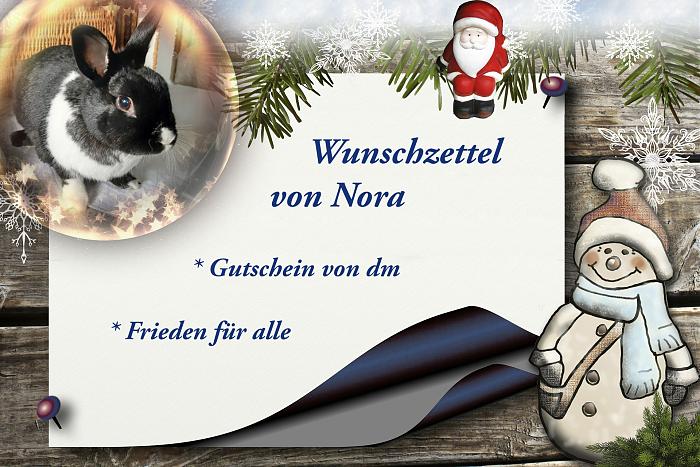 Klicke auf die Grafik fr eine grere Ansicht

Name:	WZ Nora.jpg
Hits:	1
Gre:	297,4 KB
ID:	199171