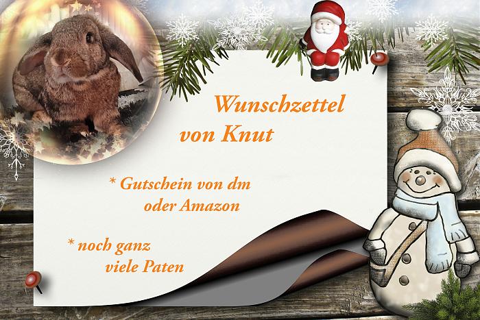 Klicke auf die Grafik fr eine grere Ansicht

Name:	WZ Knut.jpg
Hits:	2
Gre:	298,1 KB
ID:	199172