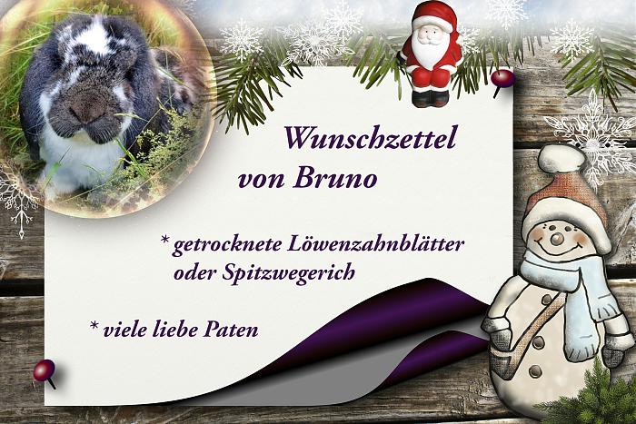 Klicke auf die Grafik fr eine grere Ansicht

Name:	WZ Bruno.jpg
Hits:	1
Gre:	304,2 KB
ID:	199175
