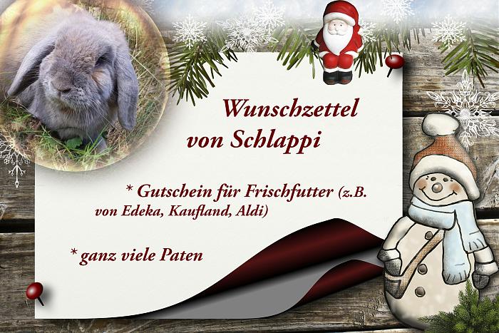 Klicke auf die Grafik fr eine grere Ansicht

Name:	WZ Schlappi.jpg
Hits:	1
Gre:	303,3 KB
ID:	199177