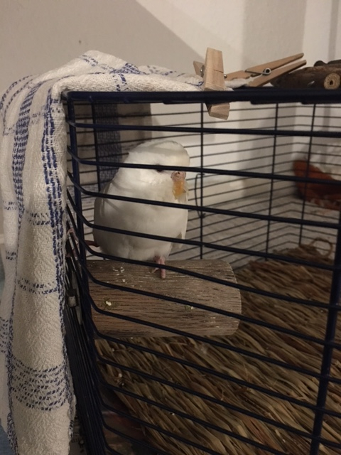 Klicke auf die Grafik f�r eine gr��ere Ansicht

Name:	liese008.jpg
Hits:	99
Gr��e:	225,2 KB
ID:	199432