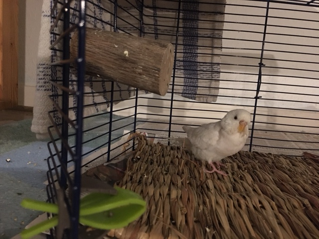 Klicke auf die Grafik f�r eine gr��ere Ansicht

Name:	liese009.jpg
Hits:	95
Gr��e:	248,9 KB
ID:	199433