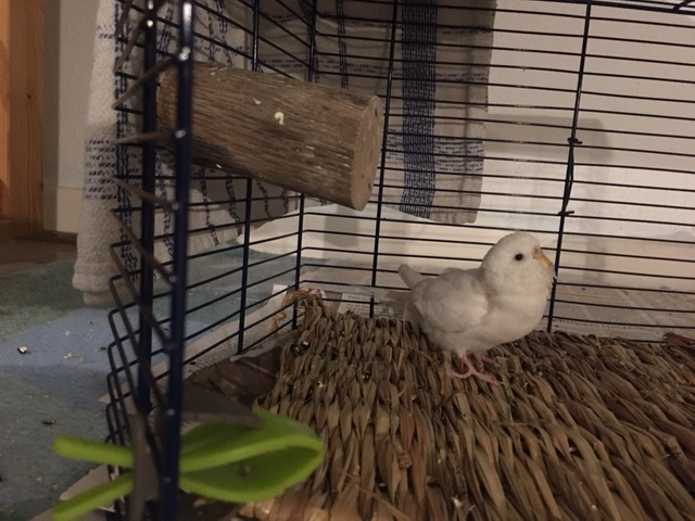 Klicke auf die Grafik f�r eine gr��ere Ansicht

Name:	liese010.jpg
Hits:	99
Gr��e:	240,2 KB
ID:	199434