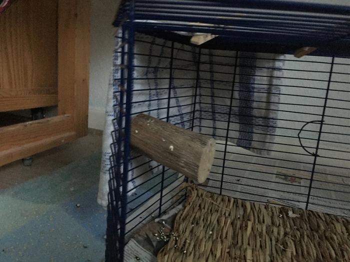 Klicke auf die Grafik f�r eine gr��ere Ansicht

Name:	liese011.jpg
Hits:	0
Gr��e:	62,6 KB
ID:	199457