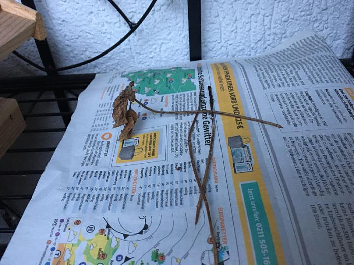 Klicke auf die Grafik f�r eine gr��ere Ansicht

Name:	liese012.jpg
Hits:	0
Gr��e:	73,4 KB
ID:	199458