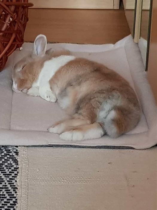 Klicke auf die Grafik fr eine grere Ansicht

Name:	IMG-20221231-WA0004.jpg
Hits:	0
Gre:	45,7 KB
ID:	199587