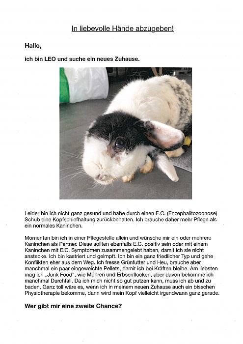 Klicke auf die Grafik f�r eine gr��ere Ansicht

Name:	doc04651320230216132107_001.jpg
Hits:	7
Gr��e:	247,2 KB
ID:	200202
