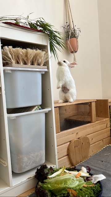 Klicke auf die Grafik fr eine grere Ansicht

Name:	50ADD2FD-E930-4A59-A692-E94ED037E314.jpg
Hits:	2
Gre:	30,4 KB
ID:	203341