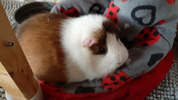 Klicke auf die Grafik f�r eine gr��ere Ansicht

Name:	20230909_072156.jpg
Hits:	0
Gr��e:	93,5 KB
ID:	203353