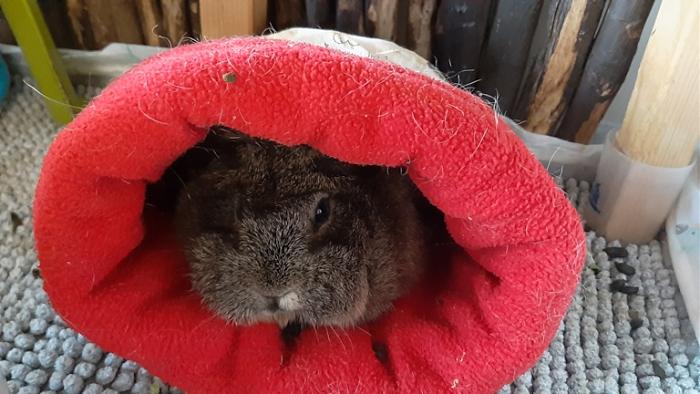 Klicke auf die Grafik f�r eine gr��ere Ansicht

Name:	20230909_072213.jpg
Hits:	0
Gr��e:	127,9 KB
ID:	203358