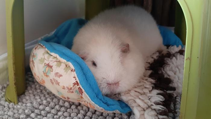 Klicke auf die Grafik f�r eine gr��ere Ansicht

Name:	20230907_072827.jpg
Hits:	0
Gr��e:	87,3 KB
ID:	203359