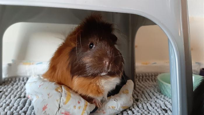 Klicke auf die Grafik f�r eine gr��ere Ansicht

Name:	20230907_072843.jpg
Hits:	0
Gr��e:	82,9 KB
ID:	203360