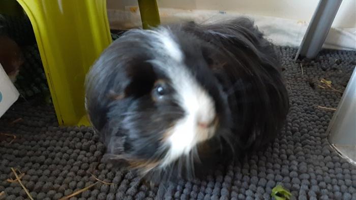 Klicke auf die Grafik f�r eine gr��ere Ansicht

Name:	20230906_174346.jpg
Hits:	1
Gr��e:	92,3 KB
ID:	203362