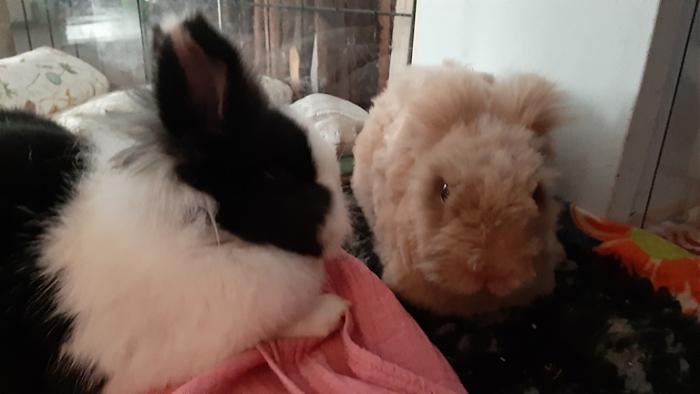 Klicke auf die Grafik f�r eine gr��ere Ansicht

Name:	20230909_111540.jpg
Hits:	0
Gr��e:	70,3 KB
ID:	203363