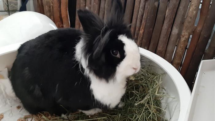 Klicke auf die Grafik f�r eine gr��ere Ansicht

Name:	20230909_095836.jpg
Hits:	0
Gr��e:	91,0 KB
ID:	203365