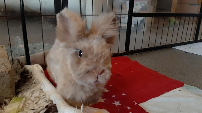 Klicke auf die Grafik f�r eine gr��ere Ansicht

Name:	20230909_071505.jpg
Hits:	0
Gr��e:	91,1 KB
ID:	203366