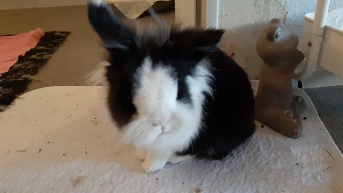 Klicke auf die Grafik f�r eine gr��ere Ansicht

Name:	20230907_072952.jpg
Hits:	0
Gr��e:	71,9 KB
ID:	203367