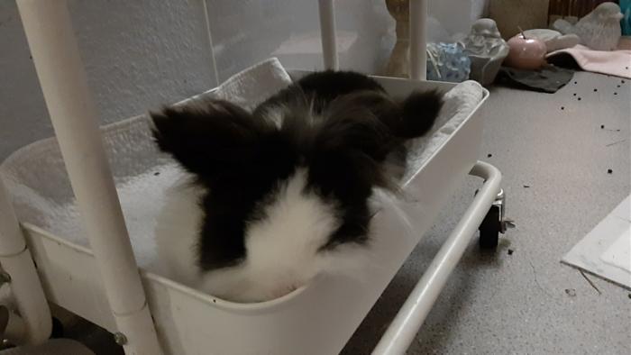 Klicke auf die Grafik f�r eine gr��ere Ansicht

Name:	20230908_054221.jpg
Hits:	0
Gr��e:	77,2 KB
ID:	203368