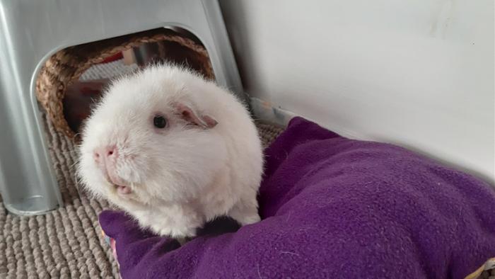 Klicke auf die Grafik f�r eine gr��ere Ansicht

Name:	20230915_142257.jpg
Hits:	0
Gr��e:	88,2 KB
ID:	203425