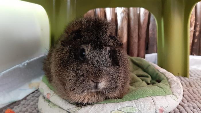 Klicke auf die Grafik f�r eine gr��ere Ansicht

Name:	20230914_095235.jpg
Hits:	0
Gr��e:	108,1 KB
ID:	203428