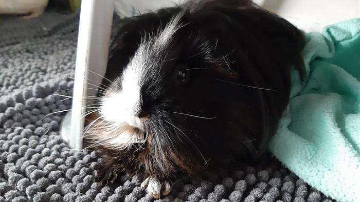 Klicke auf die Grafik f�r eine gr��ere Ansicht

Name:	20230914_095241.jpg
Hits:	0
Gr��e:	110,4 KB
ID:	203429