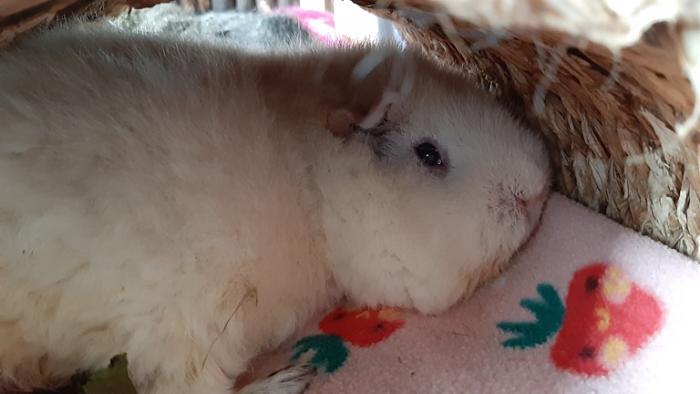 Klicke auf die Grafik f�r eine gr��ere Ansicht

Name:	20230914_093406.jpg
Hits:	0
Gr��e:	84,5 KB
ID:	203430