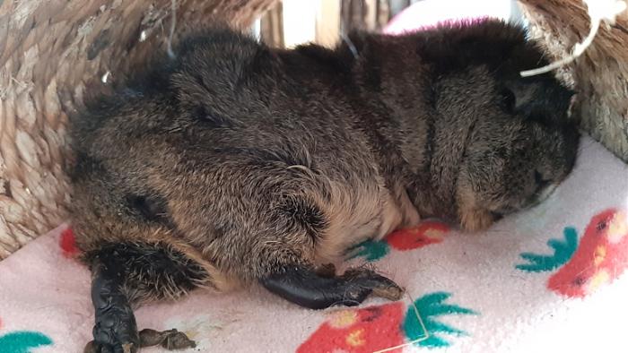 Klicke auf die Grafik f�r eine gr��ere Ansicht

Name:	20230914_091811.jpg
Hits:	1
Gr��e:	126,6 KB
ID:	203432