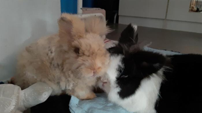 Klicke auf die Grafik f�r eine gr��ere Ansicht

Name:	20230916_125258.jpg
Hits:	0
Gr��e:	63,1 KB
ID:	203433