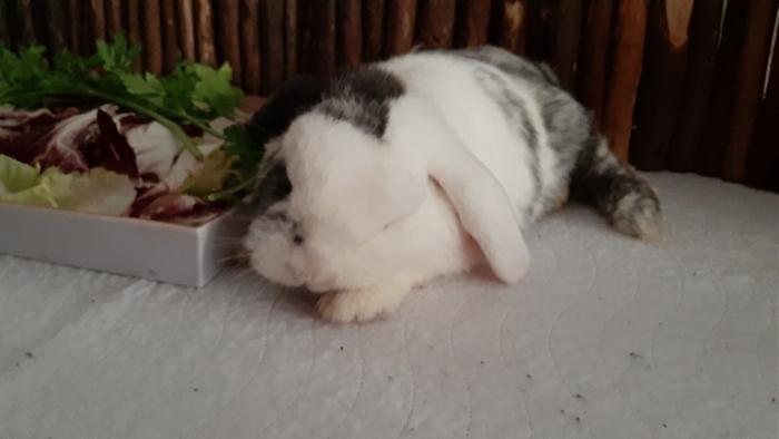 Klicke auf die Grafik f�r eine gr��ere Ansicht

Name:	20230917_100108.jpg
Hits:	0
Gr��e:	65,5 KB
ID:	203435