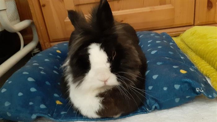 Klicke auf die Grafik f�r eine gr��ere Ansicht

Name:	20230915_114900.jpg
Hits:	0
Gr��e:	85,5 KB
ID:	203436