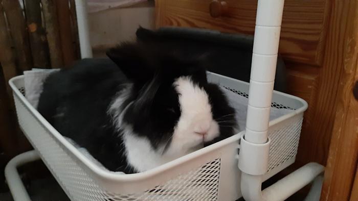 Klicke auf die Grafik f�r eine gr��ere Ansicht

Name:	20230915_103056.jpg
Hits:	0
Gr��e:	76,6 KB
ID:	203440