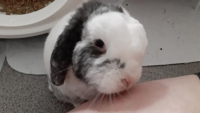 Klicke auf die Grafik f�r eine gr��ere Ansicht

Name:	20230914_092147.jpg
Hits:	0
Gr��e:	65,4 KB
ID:	203441