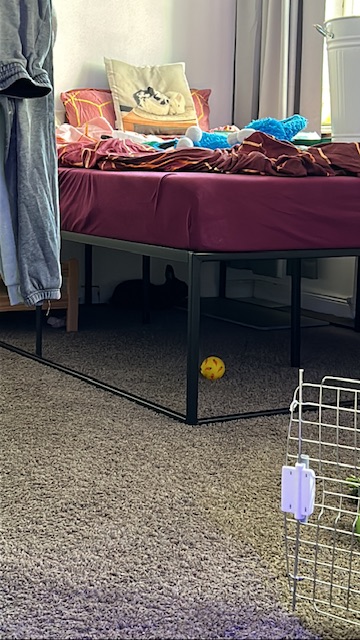 Klicke auf die Grafik fr eine grere Ansicht

Name:	FA3C2E34-B392-4BAA-83BE-76655A15B258.jpg
Hits:	0
Gre:	45,5 KB
ID:	203482