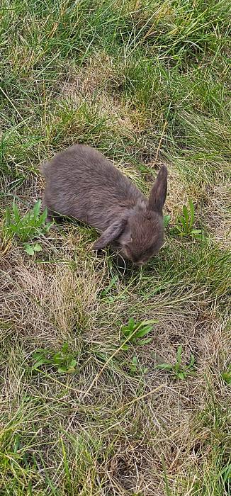 Klicke auf die Grafik f�r eine gr��ere Ansicht

Name:	IMG-20231027-WA0005.jpg
Hits:	2
Gr��e:	296,5 KB
ID:	204024