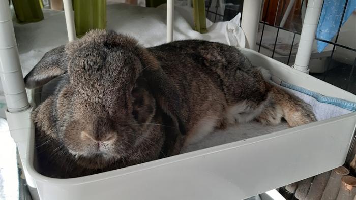 Klicke auf die Grafik fr eine grere Ansicht

Name:	20231104_102459.jpg
Hits:	0
Gre:	109,3 KB
ID:	204160