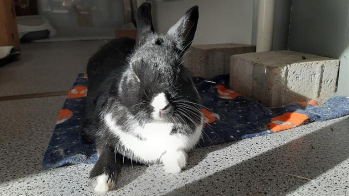 Klicke auf die Grafik fr eine grere Ansicht

Name:	20231104_101914.jpg
Hits:	0
Gre:	122,5 KB
ID:	204161