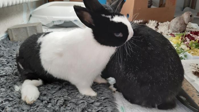 Klicke auf die Grafik fr eine grere Ansicht

Name:	20231101_093837.jpg
Hits:	0
Gre:	101,6 KB
ID:	204162