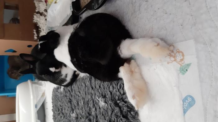 Klicke auf die Grafik fr eine grere Ansicht

Name:	20231101_091227.jpg
Hits:	0
Gre:	80,5 KB
ID:	204163