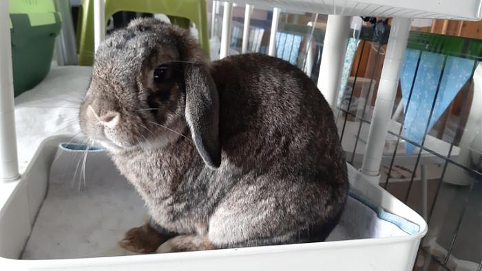 Klicke auf die Grafik fr eine grere Ansicht

Name:	20231104_104321.jpg
Hits:	0
Gre:	111,7 KB
ID:	204165