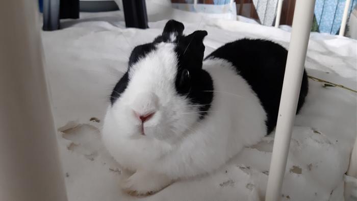 Klicke auf die Grafik fr eine grere Ansicht

Name:	20231112_131111.jpg
Hits:	0
Gre:	62,1 KB
ID:	204228