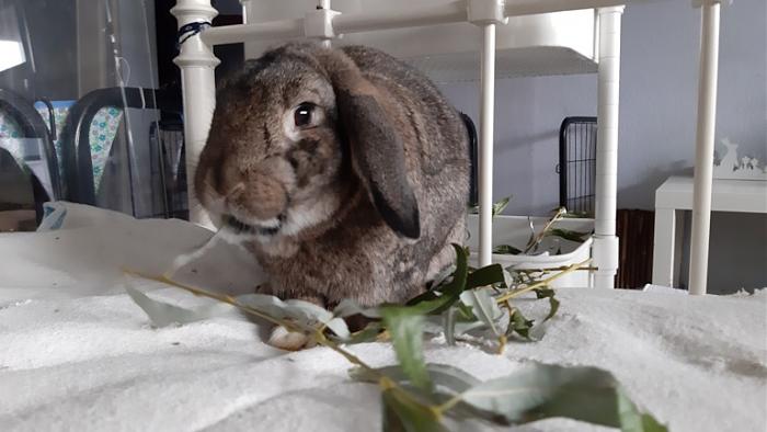 Klicke auf die Grafik fr eine grere Ansicht

Name:	20231112_093629.jpg
Hits:	0
Gre:	97,2 KB
ID:	204229